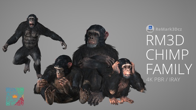RM3D Chimpanzee Family