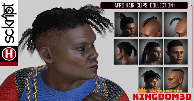 Sckript Afro Hairclips Collection 1