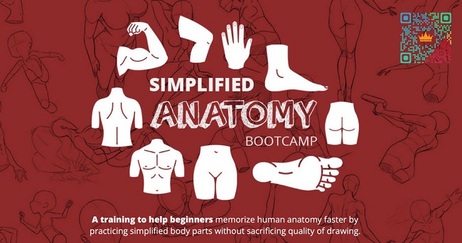 Drawing Bootcamp - Simplified Anatomy for Beginners 