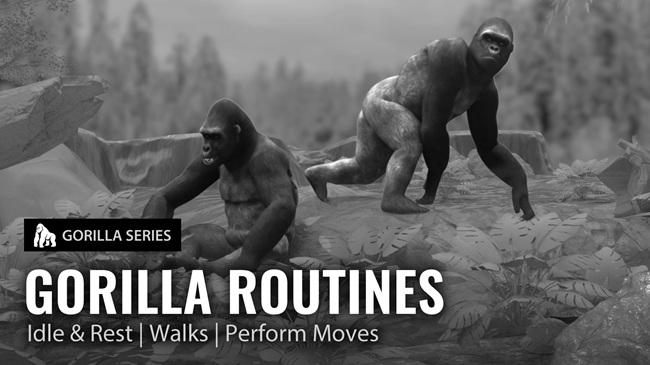 Gorilla Series : Gorilla Routines